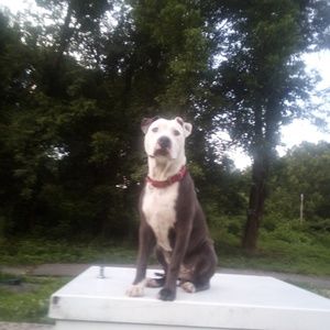 Meet your Posher, Amarissa